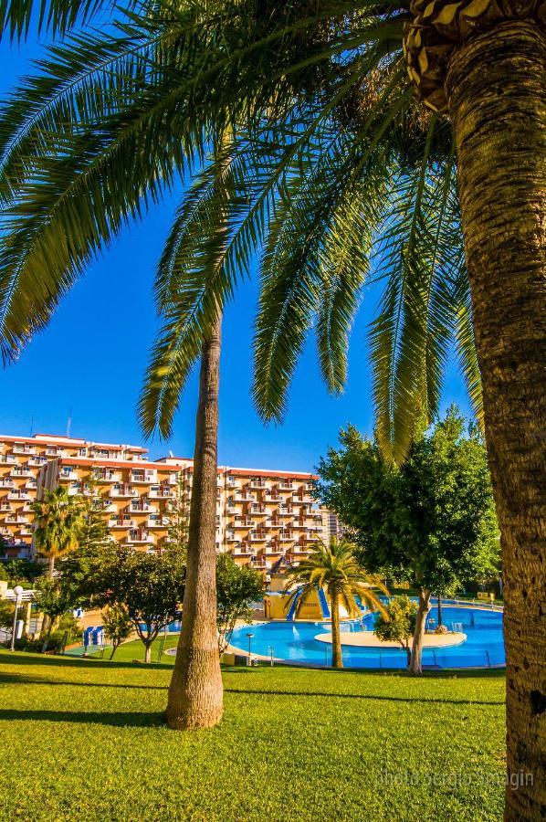 706 Minerva Apartamentos - Vista Al Mar Y La Piscina - Piscina Y Playa Benalmádena Eksteriør billede